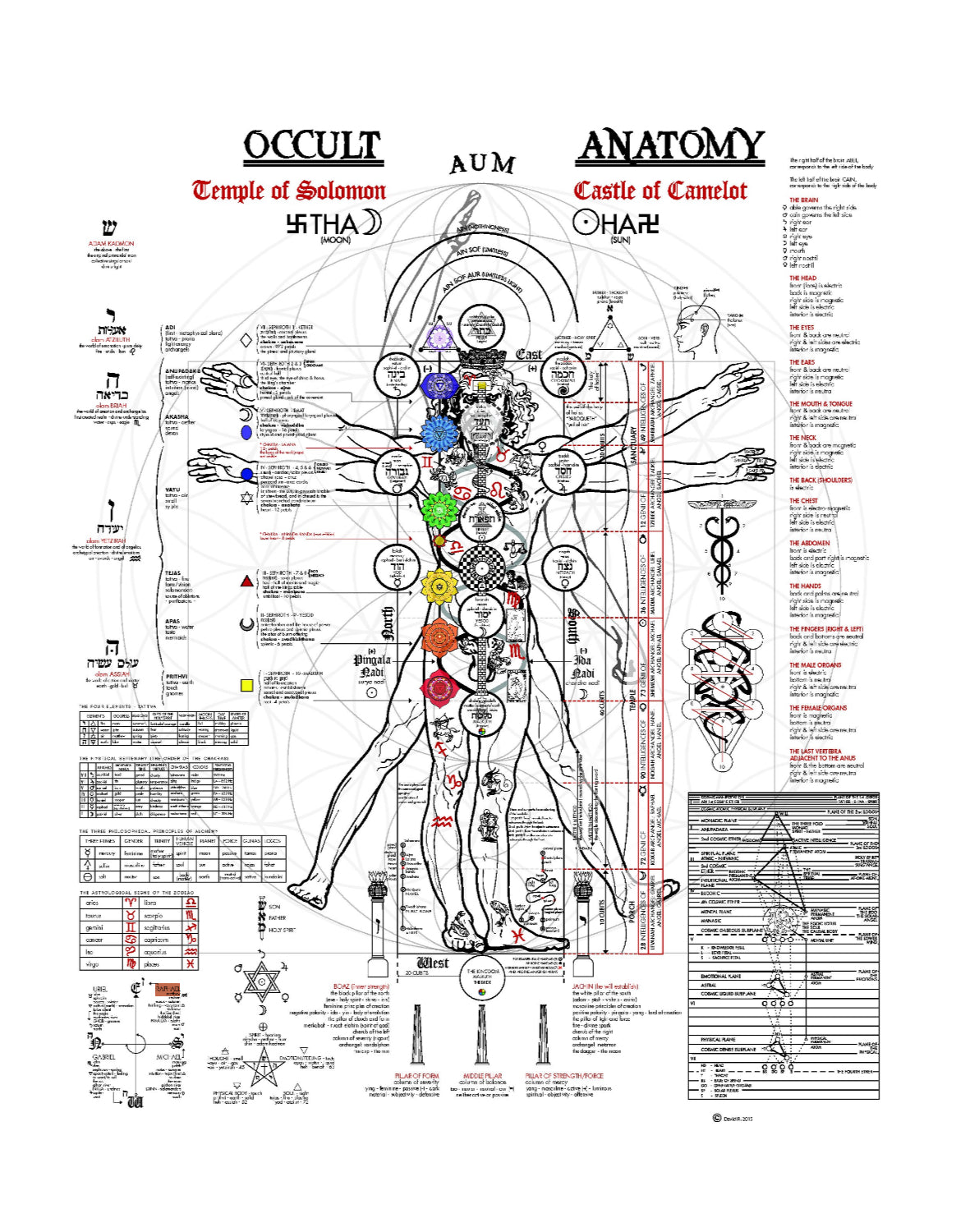 Occult Anatomy Of Man